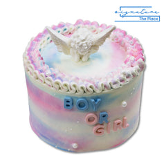 Angel’s Secret Gender Reveal